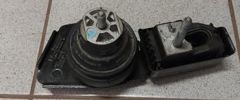 Preview: Original NTY Lagerung Motor ZPS-WW-083 für Ford Mercedes-Benz Seat VW