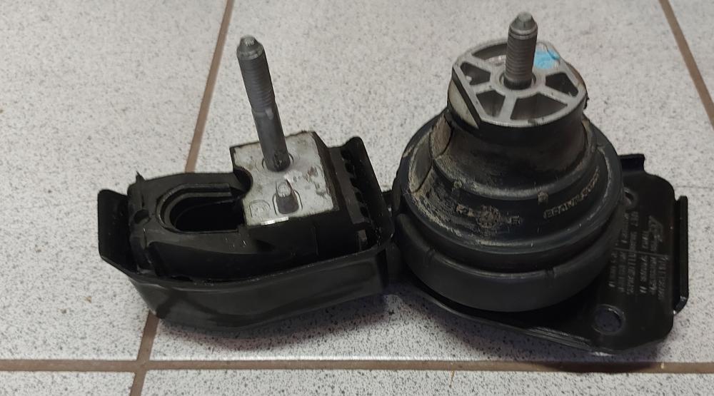 Original NTY Lagerung Motor ZPS-WW-083 für Ford Mercedes-Benz Seat VW