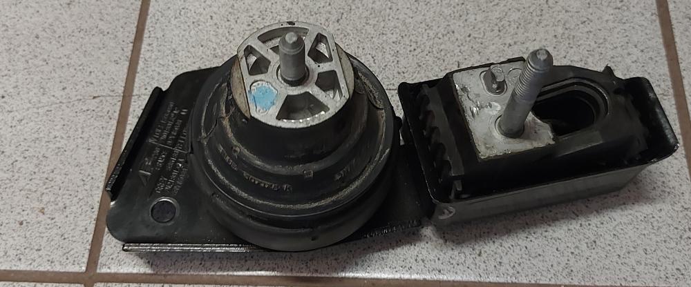 Original NTY Lagerung Motor ZPS-WW-083 für Ford Mercedes-Benz Seat VW